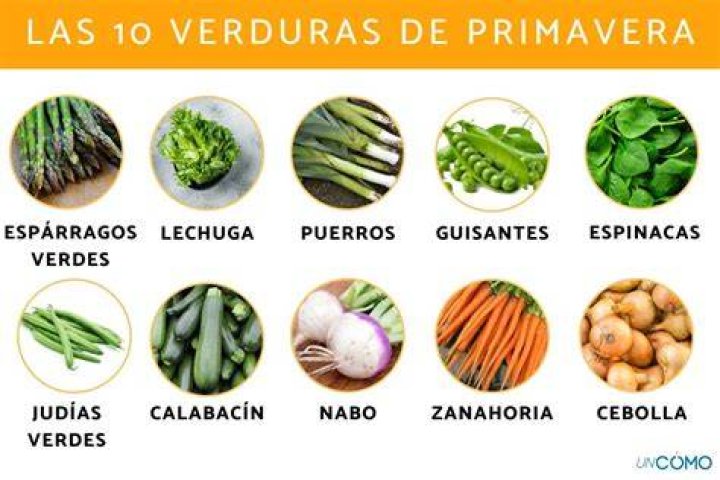 Clean eating breakfast with spinach, arugula, avocado, seeds and sprouts las mejores verduras de hoja vefde para adelgazar
