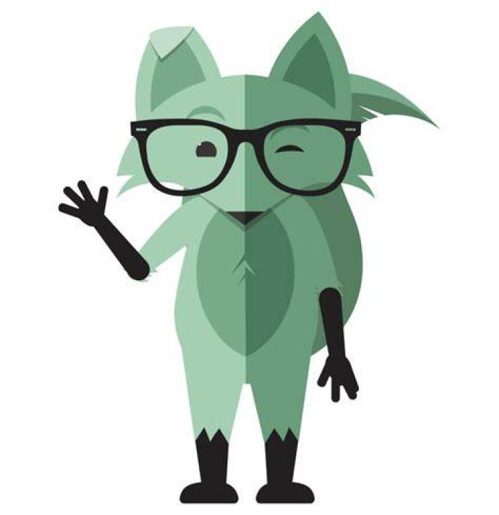 Mint Fox Thinking