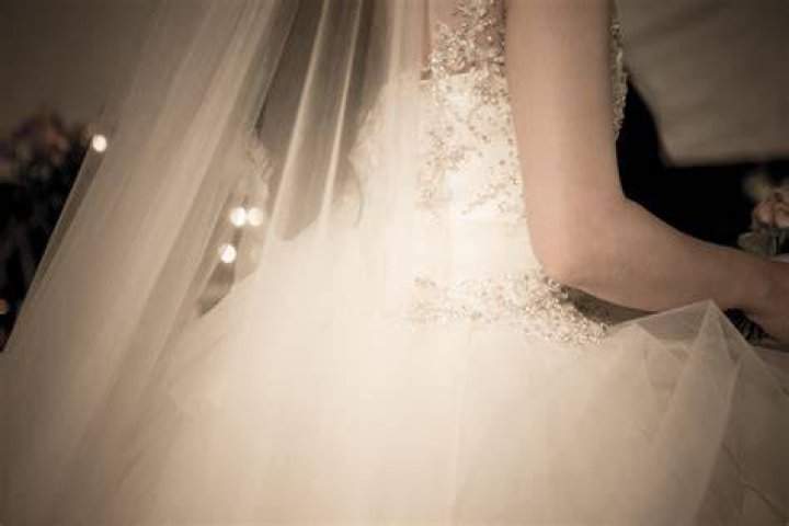 Photograph, Bride, Wedding dress, Ceremony, Gown, Wedding, Event, Bridal clothing, Dress, Formal wear, Photograph, Bride, Wedding dress, Ceremony, Gown, Wedding, Event, Bridal clothing, Dress, Formal wear,