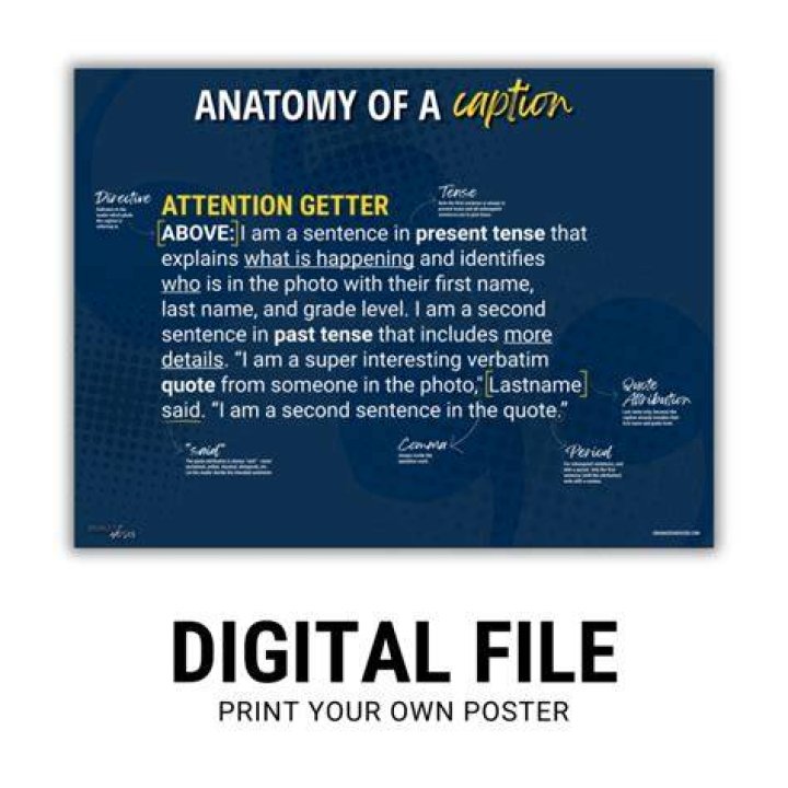 Poster, Photo caption, Poster, Photo caption,