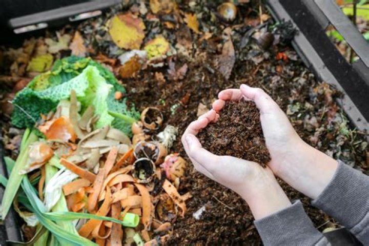 Quick Answer: How Do You Make Compost Out Of Kitchen Waste??