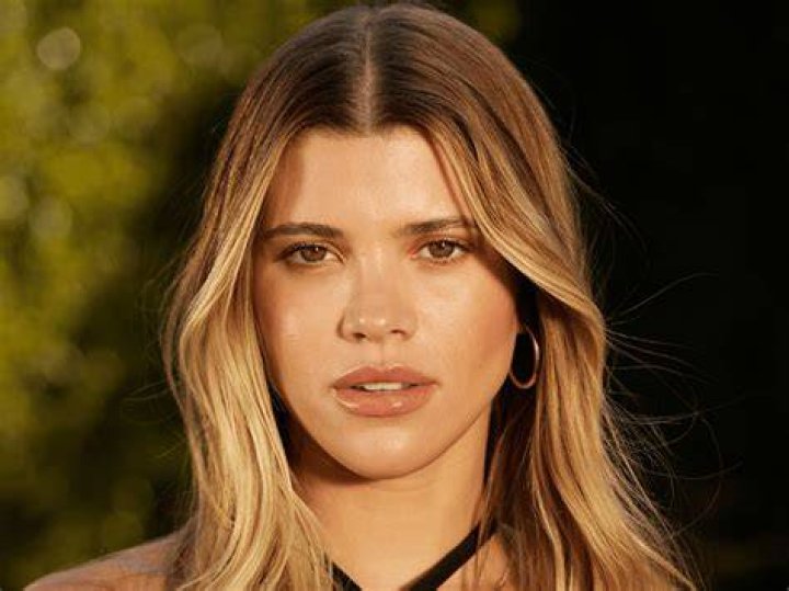 sofia richie grainge pregnancy makeup product sofia richie grainge pregnancy makeup product