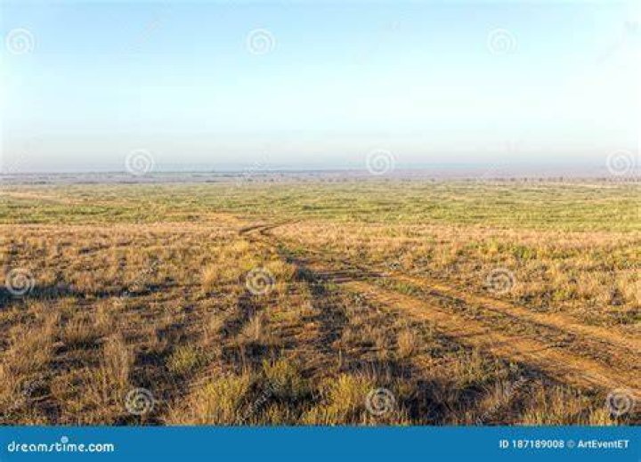 The Endless Steppe