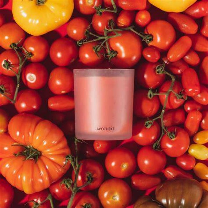Tomato Tarragon Candle Tomato Tarragon Candle