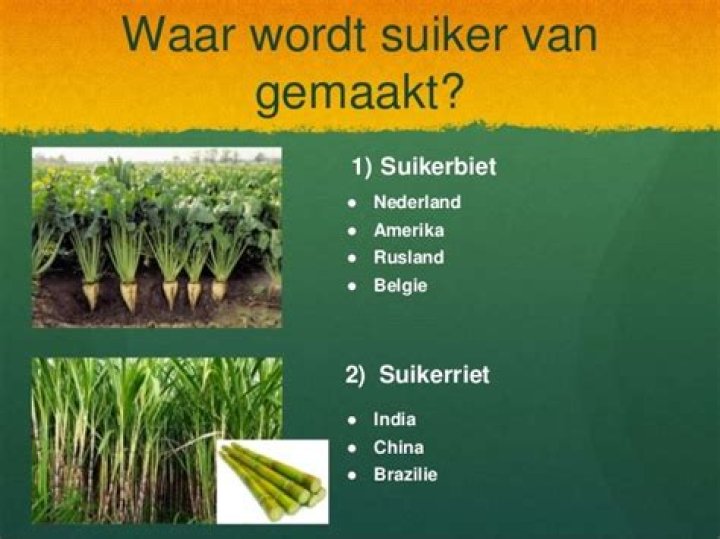 Waar Komt Suiker Vandaan Land? (Correct answer)