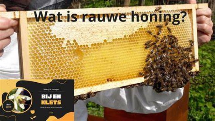 Waar Koop Ik Rauwe Honing? (Solution)