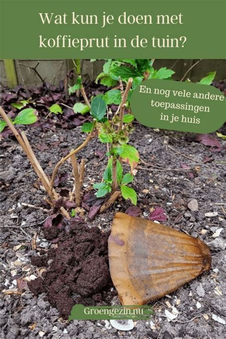 Wat Kun Je Doen Met Gesmolten Chocolade? (Solution found)