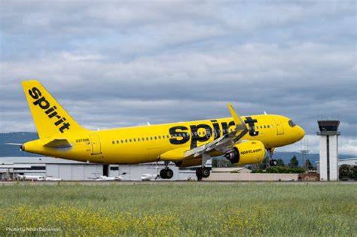 What airlines planes are yellow?