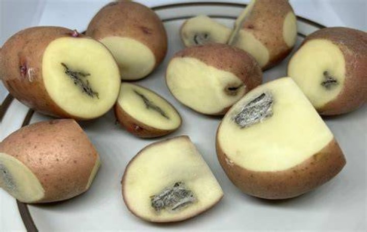 What are the dark spots inside potatoes?