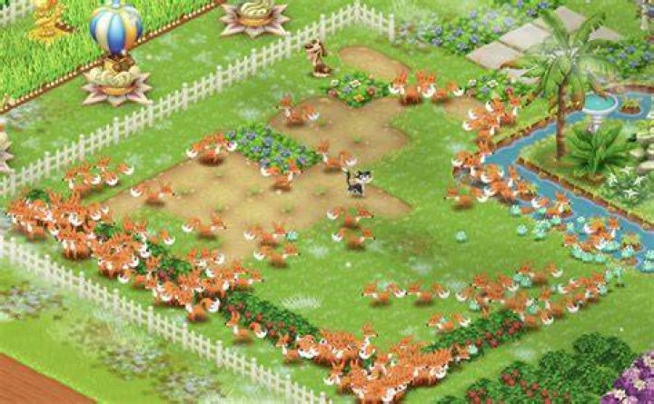 What attracts frogs in Hayday?