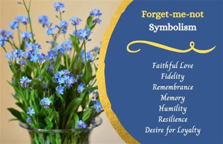 What do forget-me-nots symbolism?
