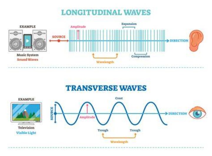 What do transverse and longitudinal waves have in common?