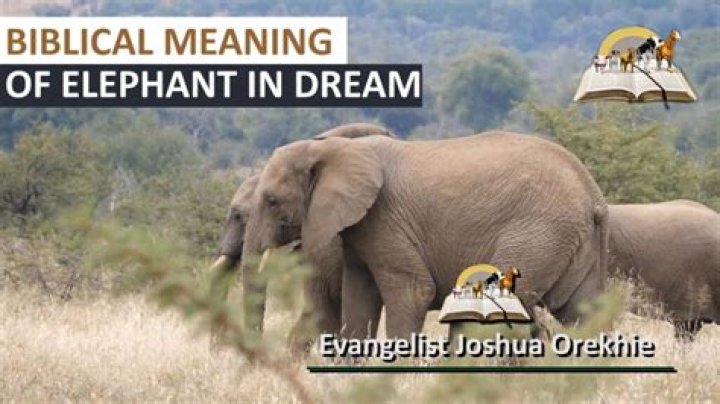 What does an elephant symbolize in the Bible?