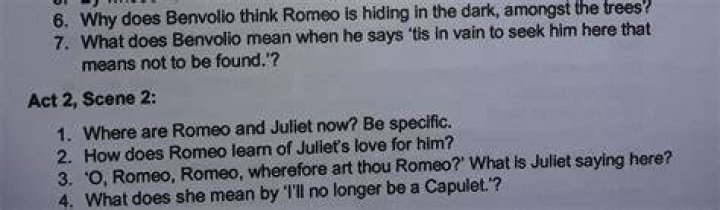 What does Benvolio think the weather will cause?