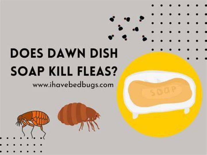 What does dish soap do to caterpillars?