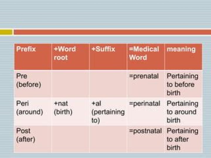What Does The Medical Prefix Peri Mean? (Solution found)