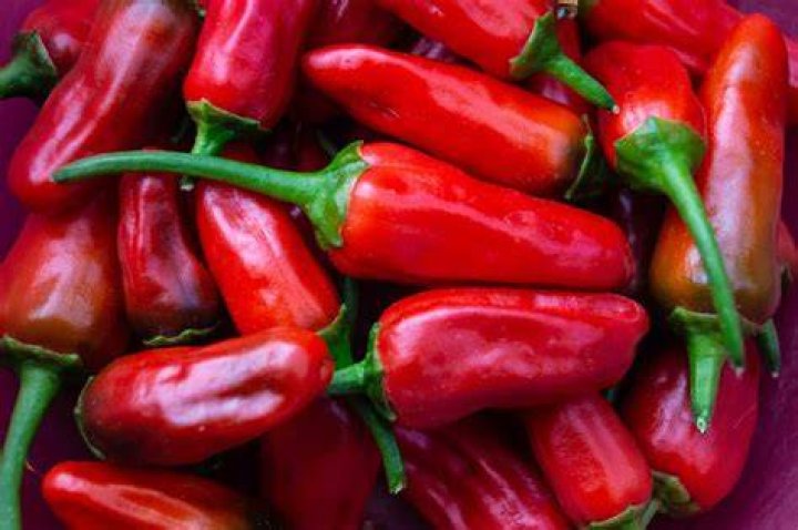 What Is A Peri Peri Pepper? (Solved)
