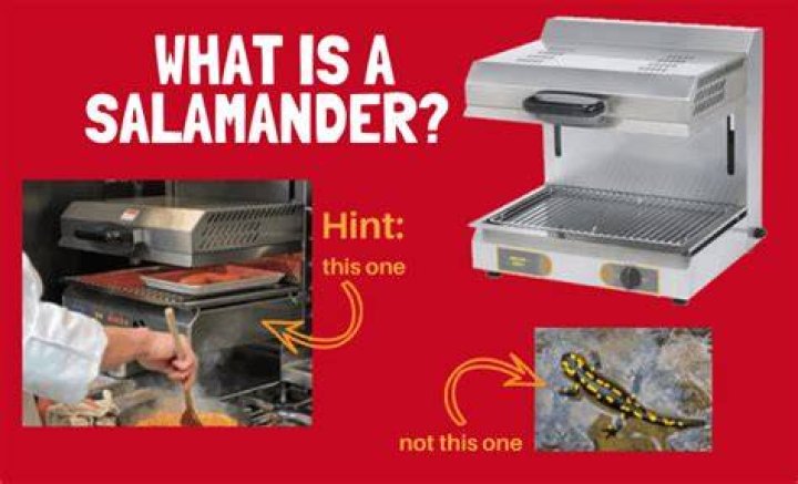 What is a salamander used for cooking?