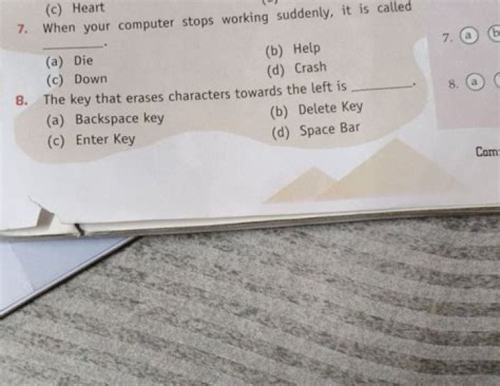 What is it called when a computer suddenly stops working?