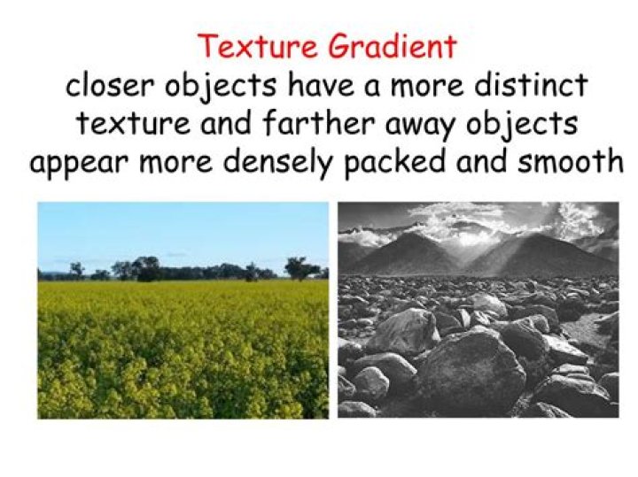 What is texture gradient AP Psychology?
