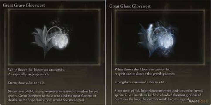 What is the difference between grave and Ghost Glovewort?