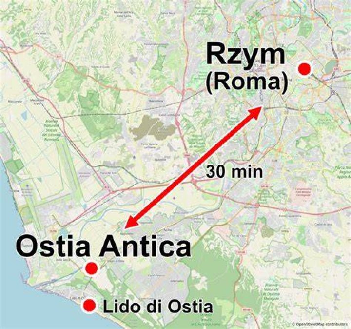 What is the function of the Ostia?