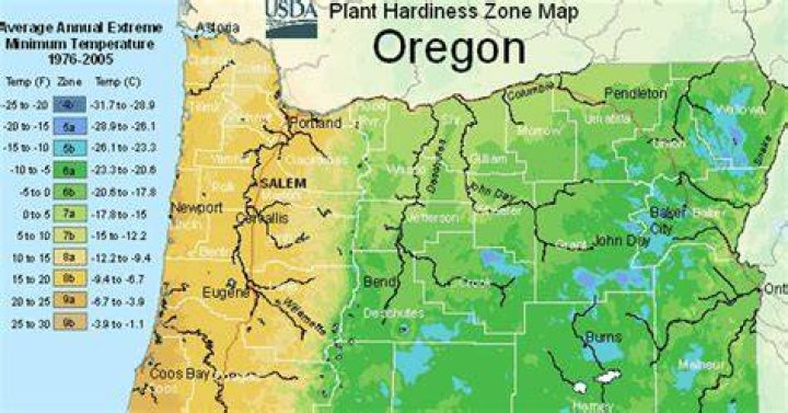 What planting zone is North Bend Oregon?