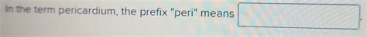 What Prefix Peri Means? (Solution)