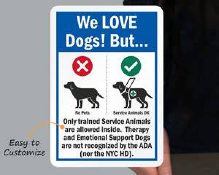 What Service Animals Are Allowed In Target