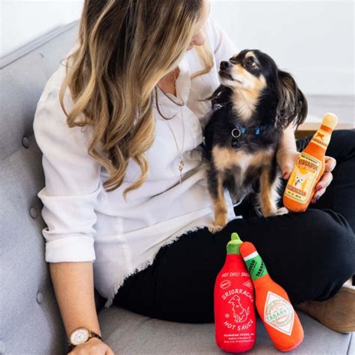 What Will Happens If My Dog Eats Hot Sauce? (Solution found)