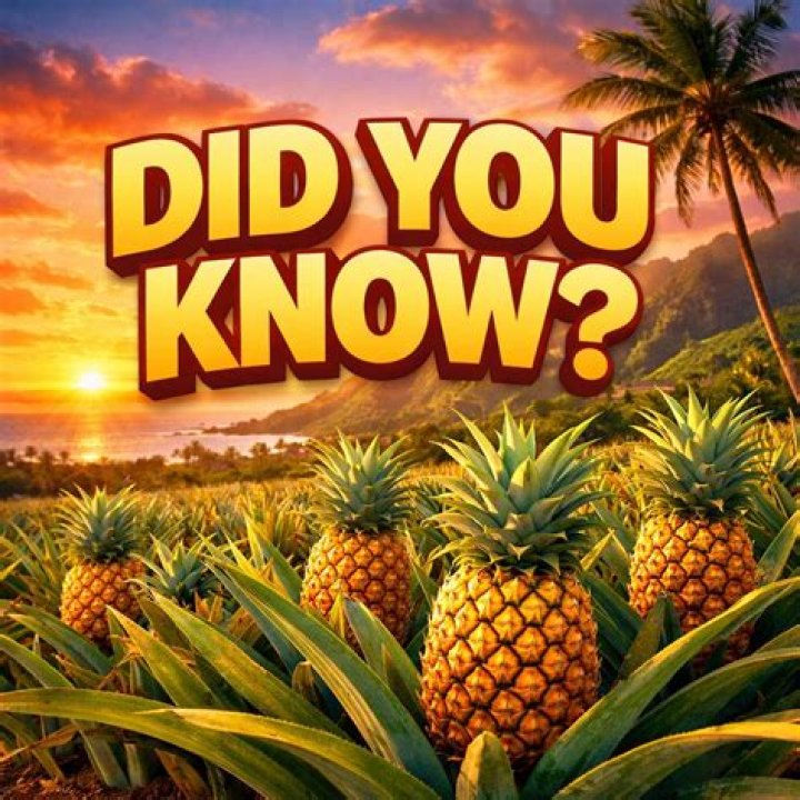 When did pineapples come to Italy?