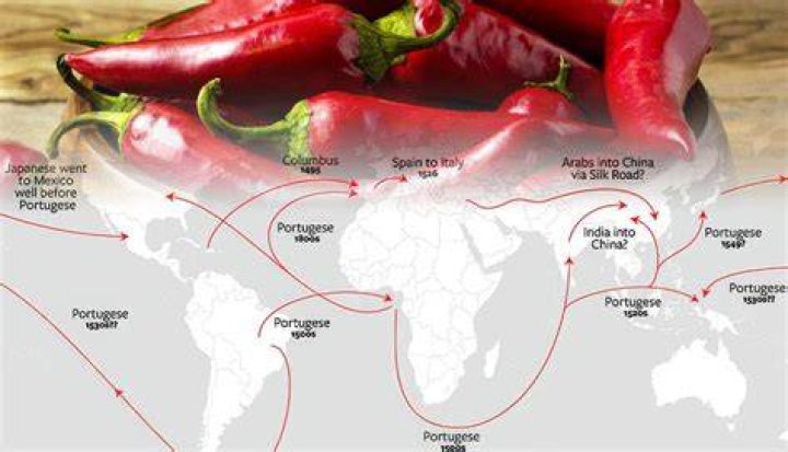 Where Did Chili Oil Originate? (Solved)