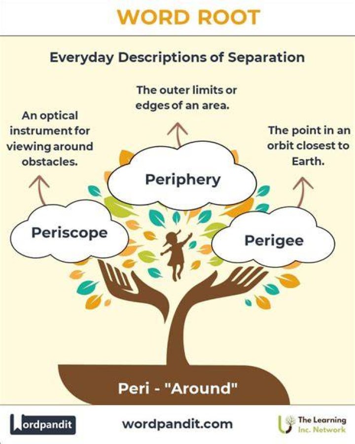 Where Does The Root Peri Come From? (Perfect answer)