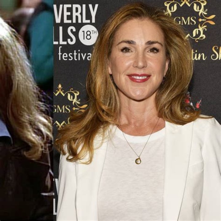 Where Is Peri Gilpin Now? (Question)
