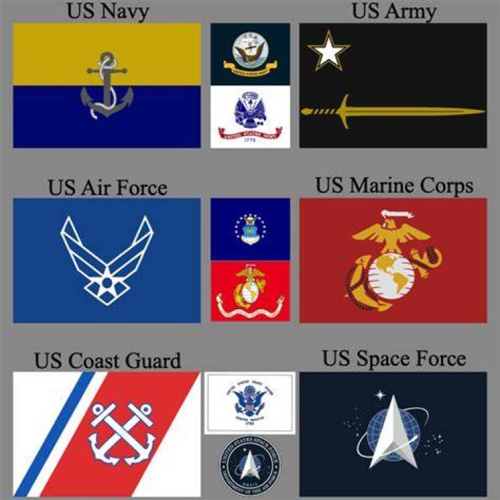 Which branch is best for military?