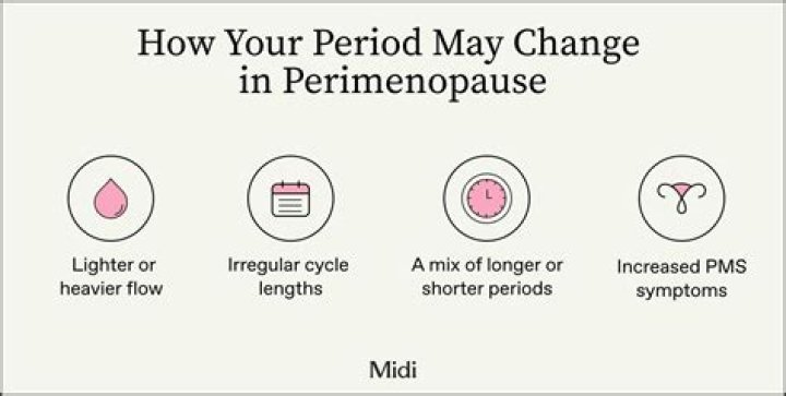 Why Are Period So Heavy During Peri Menopause? (Solution)