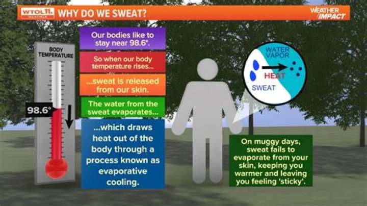 Why Do I Enjoy Sweating From Hot Sauce? (Solved)