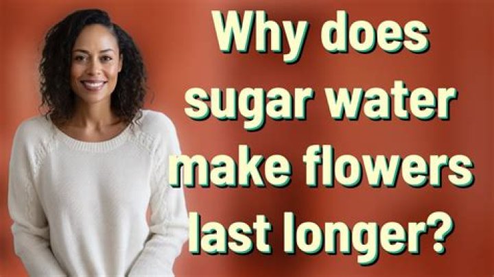 Why does sugar make flowers last longer?