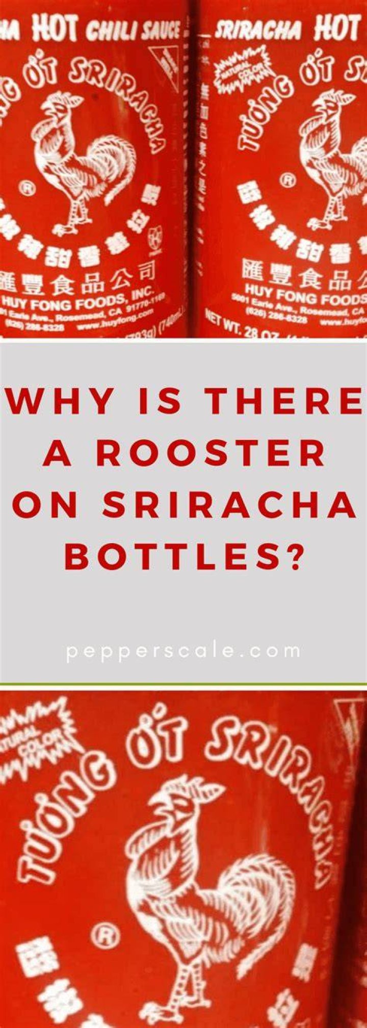 Why Is There A Rooster On Sriracha? (Correct answer)