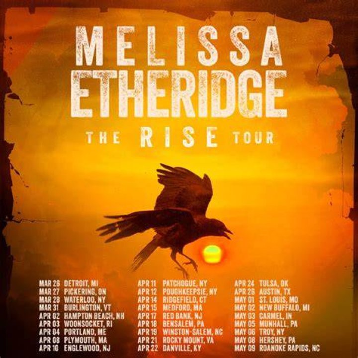 With new album, Melissa Etheridge shows a business side